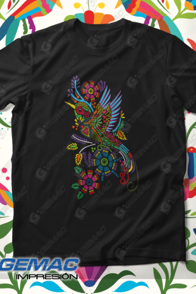 Colibrí 1